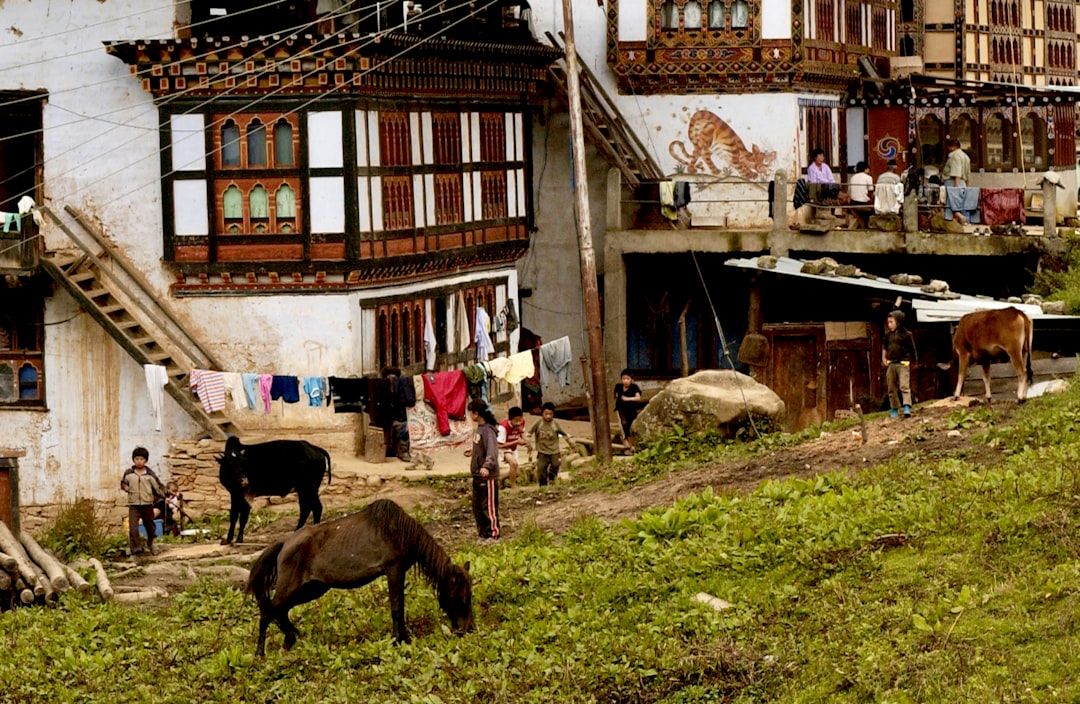 Bhutan street market local life
