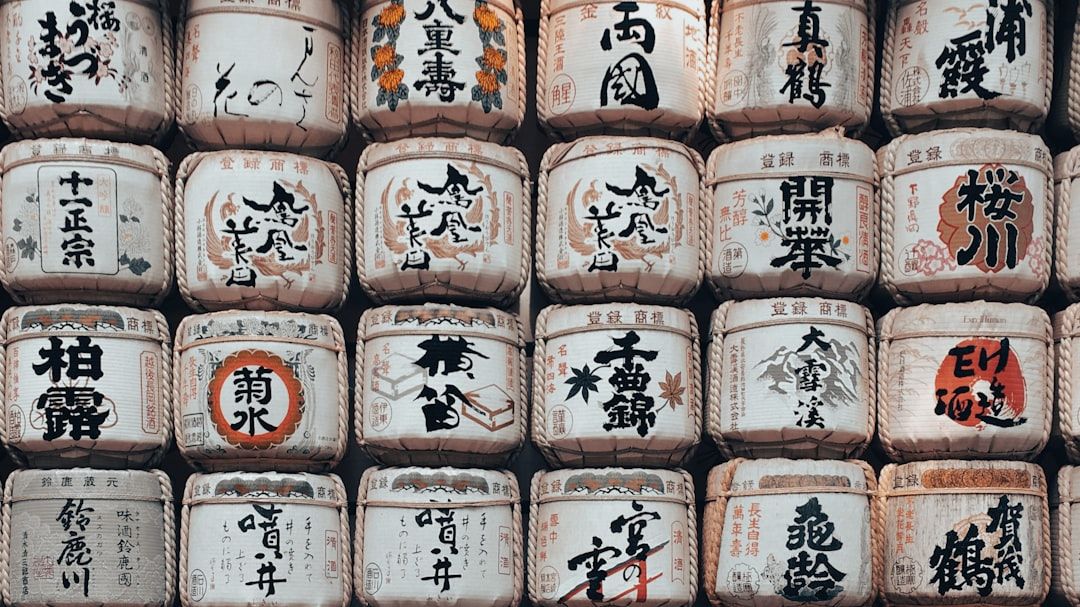 Solo Tours in Tokyo, Japan